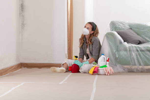 Reliable Mold Cleanup contractor in Halifax, PA by Cheap Mold Removal